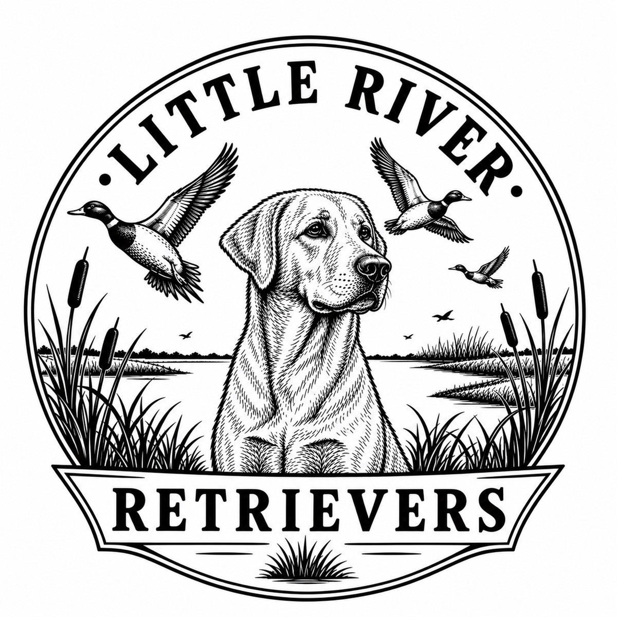 Little River Retrievers